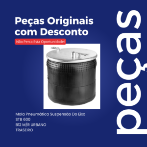 Mola Pneumática Suspensão Do Eixo